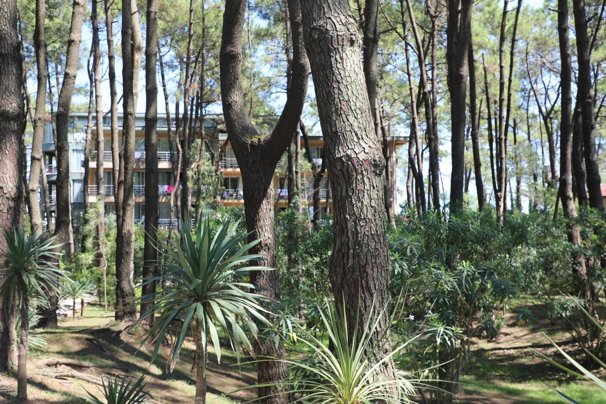 Andamati Beach Resort Григолети Экстерьер фото