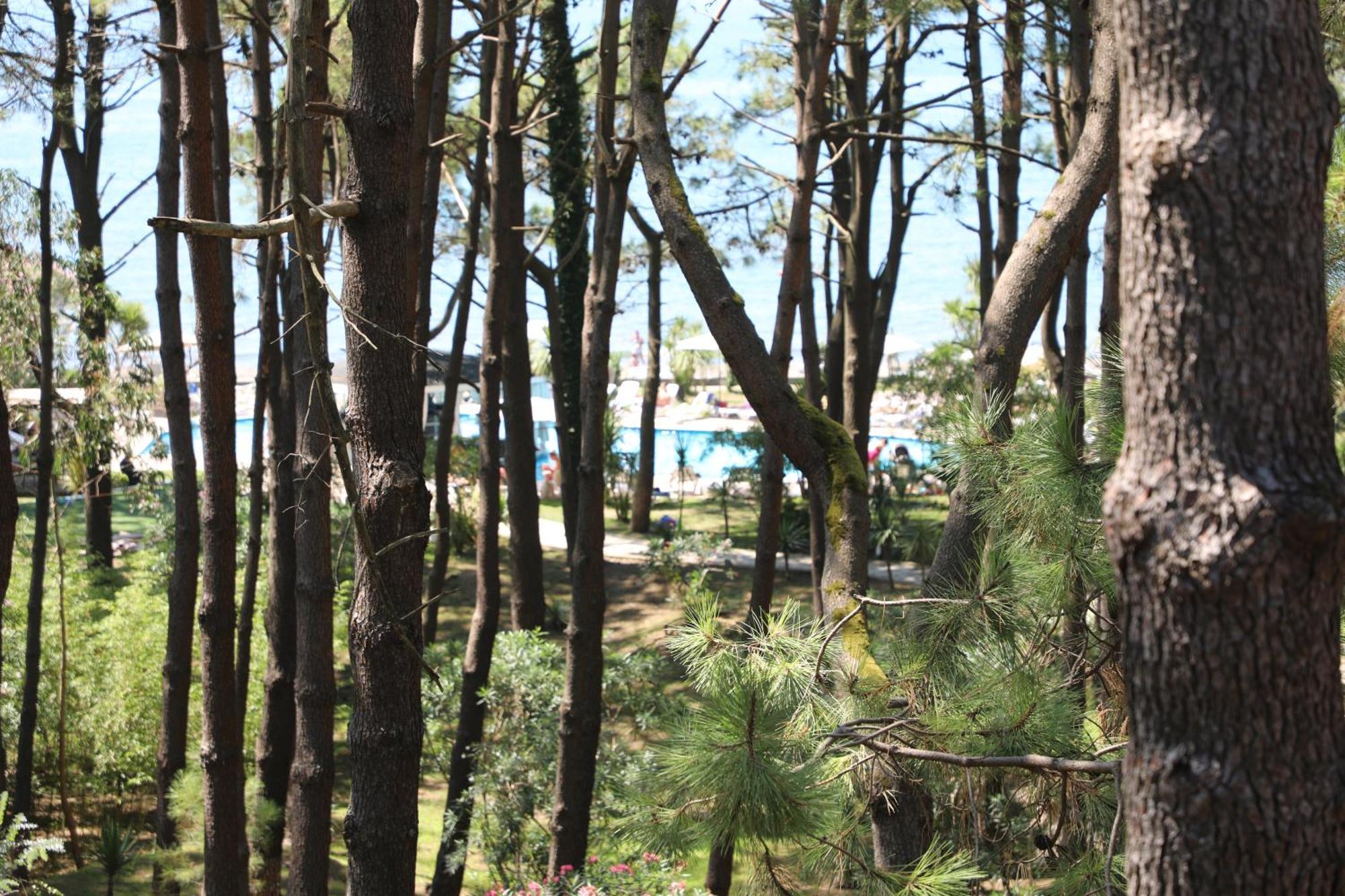 Andamati Beach Resort Григолети Экстерьер фото